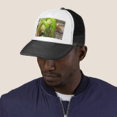 Fiddlehead Trucker Pet (In situ)