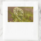Fiddlehead Varen Hart Foto Rechthoekige Sticker (Tas)