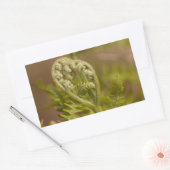 Fiddlehead Varen Hart Foto Rechthoekige Sticker (Envelop)