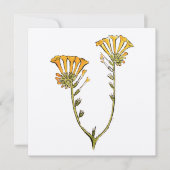 Fiddleneck Kaart (Voorkant)