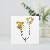 Fiddleneck Kaart (Staand voorkant)