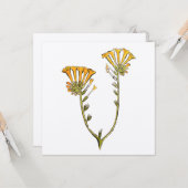 Fiddleneck Kaart (Voorkant / Achterkant in situ)