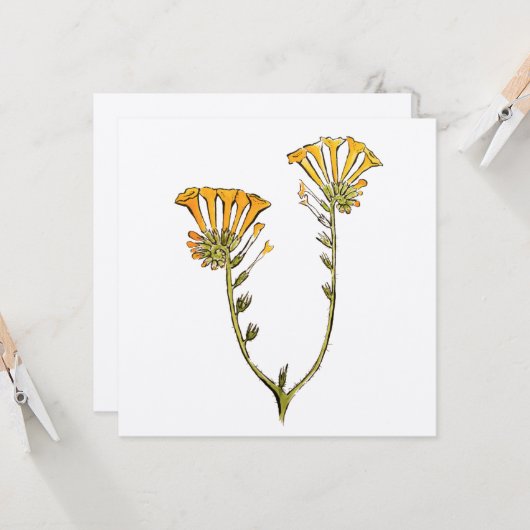 Fiddleneck Kaart (Voorkant / Achterkant in situ)