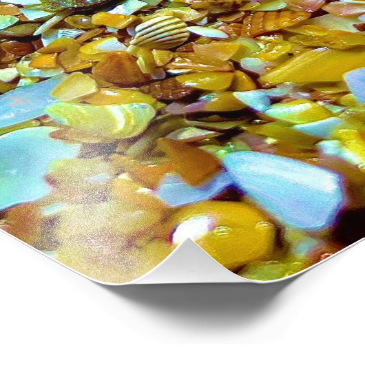 Fiddler Crab Foto Afdruk (Hoek)