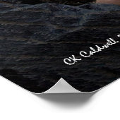 Fiddlin in Park Poster (Hoek)