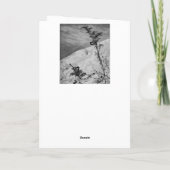 Fidelia Bridges Bedankkaart (Achterkant)