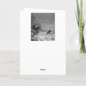 Fidelia Bridges Bedankkaart (Achterkant)