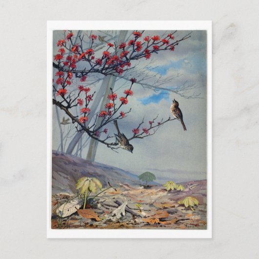 Fidelia Bridges Feestdagenkaart (Voorkant)