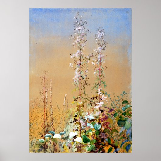 Fidelia Bridges zonder titel Poster (Voorkant)