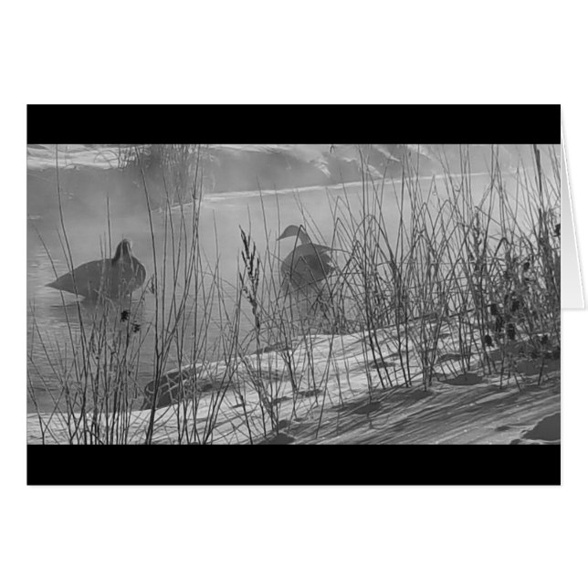 Fidelity ~ winter swans card (Voorkant Horizontaal)