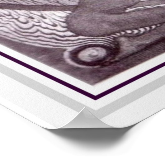 Fidus Art Nouveau Sphinx Poster 16 x 20 (Hoek)