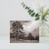 Field and Tree Photo, Hudson, New York Briefkaart (Staand voorkant)