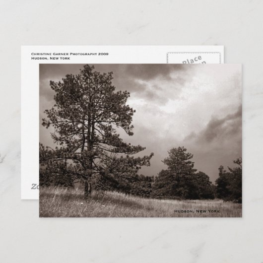 Field and Tree Photo, Hudson, New York Briefkaart (Voorkant / Achterkant)