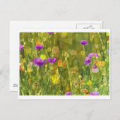 Field Flowers Postcard Briefkaart (Voorkant / Achterkant)