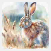Field Hare-Waterverf Vierkante Sticker (Voorkant)