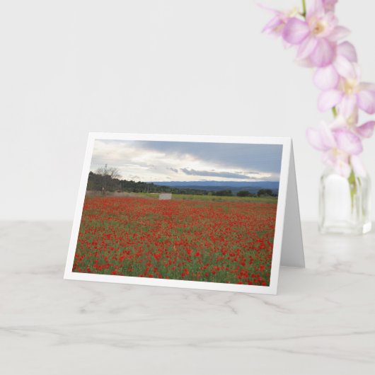 Field Mountain Landscape Card Kaart (Orchidee)