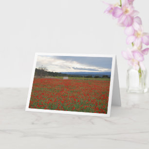 Field Mountain Landscape Card Kaart