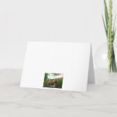 Field Mushrooms Happy Birthday Kaart (Achterkant)