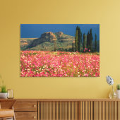 Field of Cosmos flowers, Fouriesburg District Canvas Afdruk (Insitu (Woonkamer))