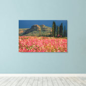 Field of Cosmos flowers, Fouriesburg District Canvas Afdruk (Insitu (Houten vloer))