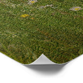 Field of Daisies Textured Effect Floral Poster (Hoek)