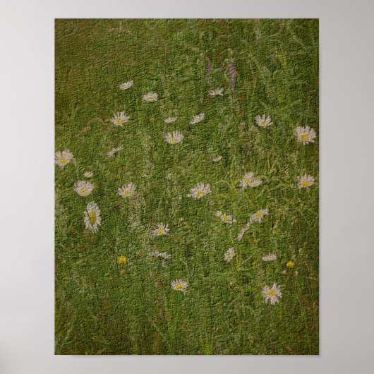 Field of Daisies Textured Effect Floral Poster (Voorkant)