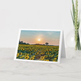 "Field of Flowers" blanco gevouwen wenskaart Kaart