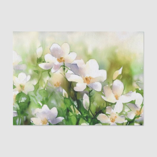 Field of Flowers-Jasmine (A) Waterverf Tissuepapier (Voorkant)