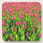 Field of Pink Tulips Bier Onderzetter (Voorkant)