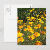Field of Poppies Briefkaart (Voorkant / Achterkant)