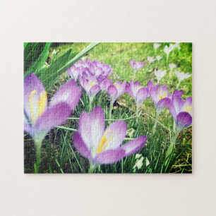Field of Purple Spring Flowers Crocus Flower Lilac Legpuzzel