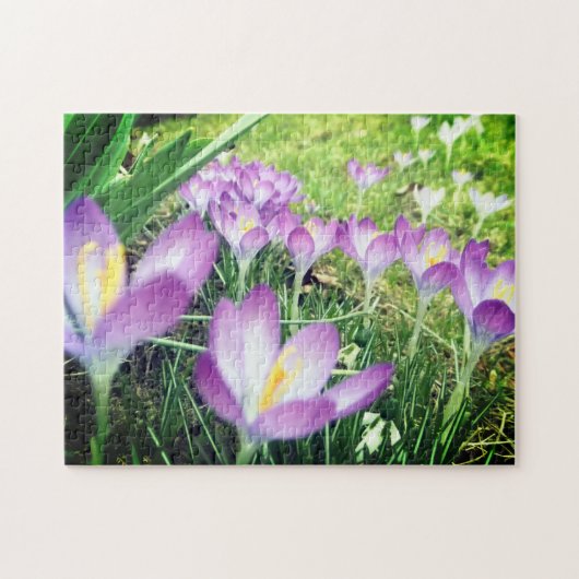 Field of Purple Spring Flowers Crocus Flower Lilac Legpuzzel (Horizontaal)