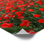 Field of Red Poppies Poster (Hoek)