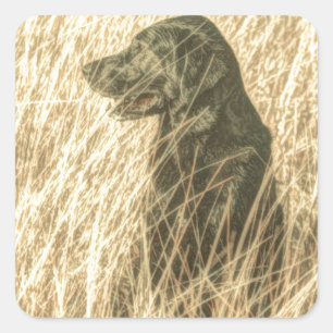 Field Outdoorsman Jagen Hond Puppy Zwart lab Vierkante Sticker