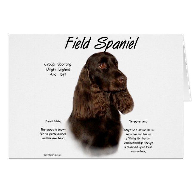 Field Spaniel Geschiedenis Ontwerp (Voorkant Horizontaal)