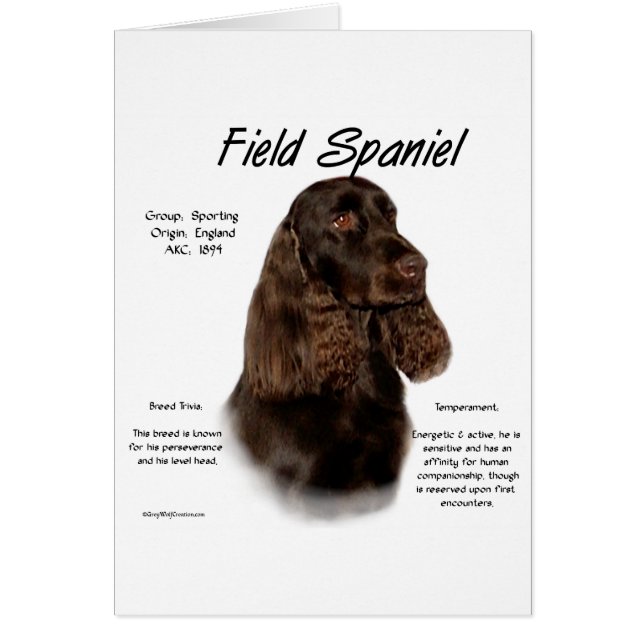 Field Spaniel Geschiedenis Ontwerp (Voorkant)