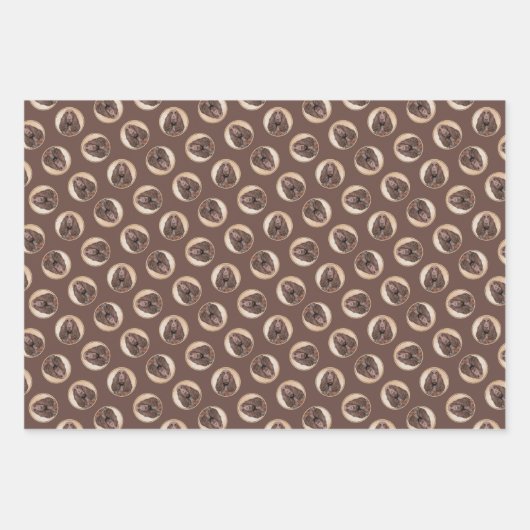 Field Spaniel Schilderij Roan Schattigee Originele Inpakpapier Vel (Voorkant 3)