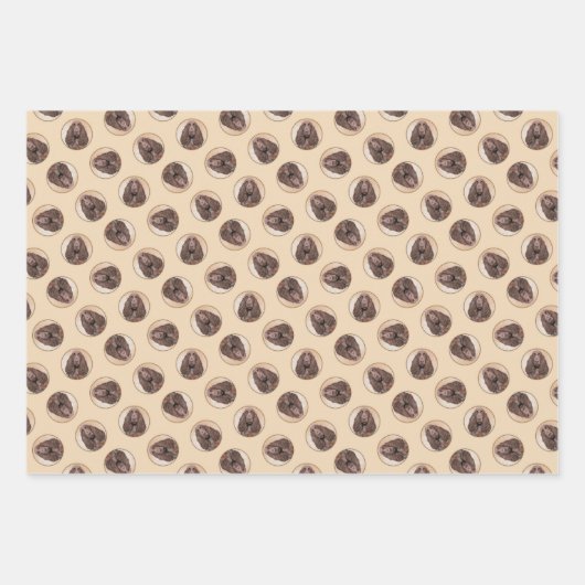 Field Spaniel Schilderij Roan Schattigee Originele Inpakpapier Vel (Voorkant)