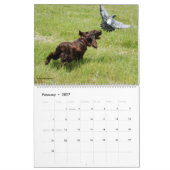 Field Spaniel Wall Agenda Kalender (Feb 2027)
