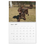 Field Spaniel Wall Agenda Kalender (Mar 2027)
