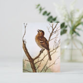 Field Sparrow Singing Briefkaart (Staand voorkant)