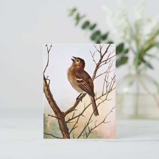 Field Sparrow Singing Briefkaart (Staand voorkant)