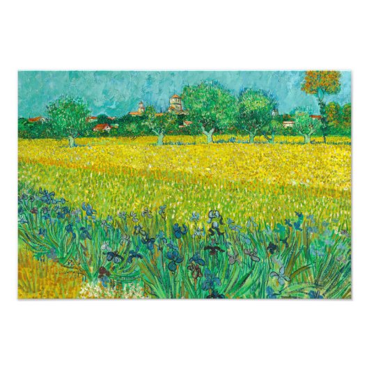 Field with Irises near Arles by Vincent van Gogh Foto Afdruk (Voorkant)