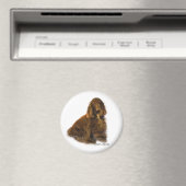 Fieldspaniel Art Giften Magneet (Insitu (Vaatwasser))