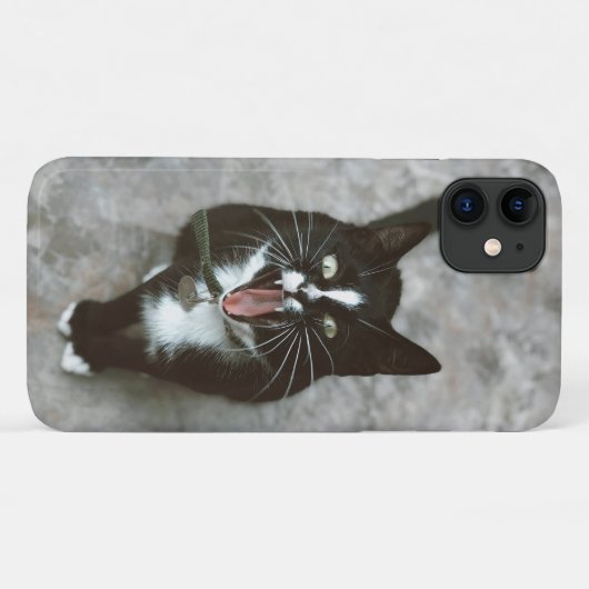 Fierce Angry Cat Phone Case - Vet en Edgy Design (Achterkant (horizontaal))