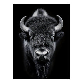 Fierce Black & White Bison Fine Art Photography | Perfect Poster