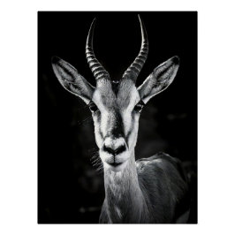 Fierce Gazelle Portrait - High Contrast Black & Wh Perfect Poster