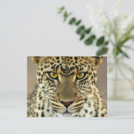 Fierce Leopard Briefkaart (Staand voorkant)