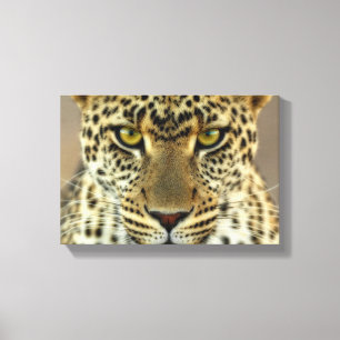 Fierce Leopard Canvas Afdruk