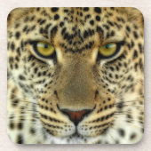 Fierce Leopard Drankjes Onderzetter (Voorkant)